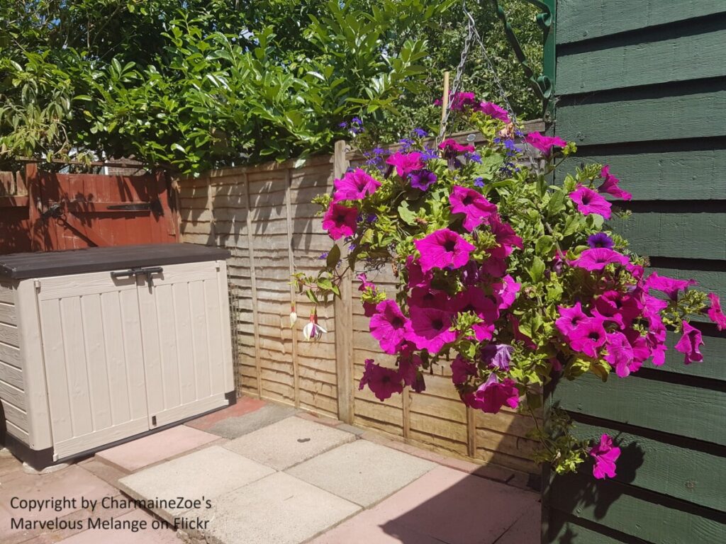 Gartenschrank auf Terrasse