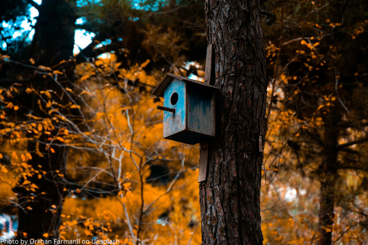 Vogelhaus an einem Baum