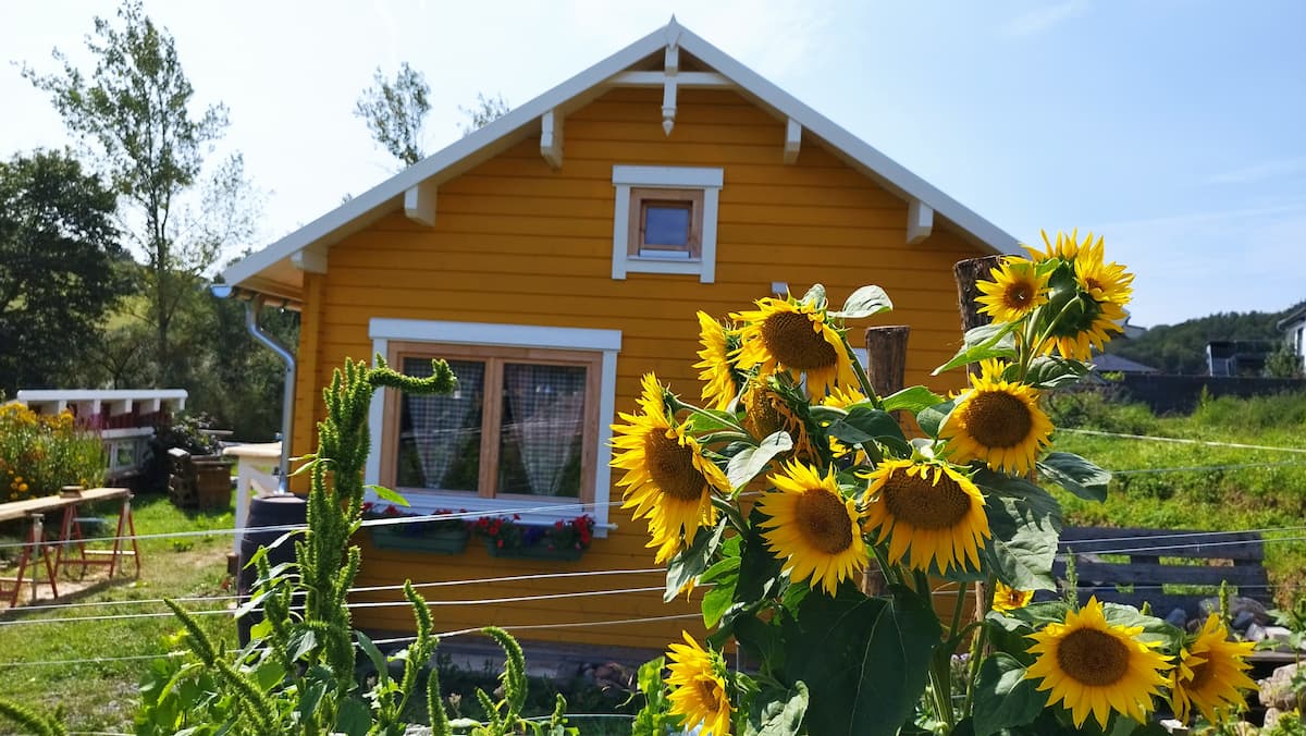 Gelbes Sommerhaus mit Sonnenblumen
